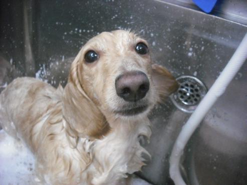 ファイル 2137-2.jpg