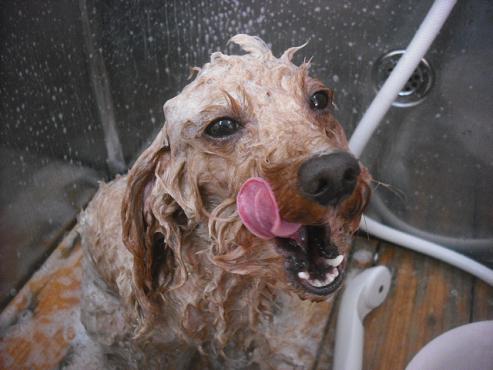 ファイル 2138-2.jpg