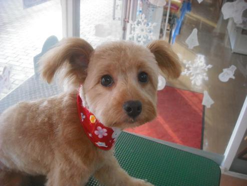 ファイル 2139-1.jpg