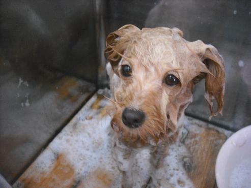 ファイル 2139-2.jpg