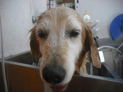 ファイル 2140-2.jpg