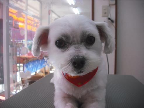 ファイル 2141-1.jpg