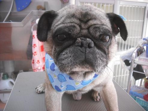 ファイル 2142-1.jpg