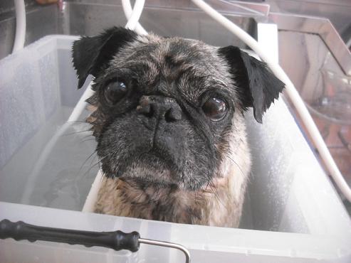 ファイル 2142-2.jpg