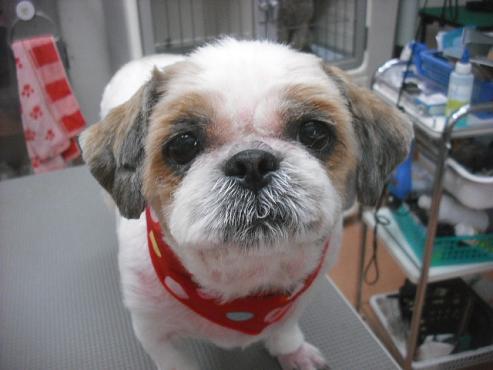 ファイル 2143-1.jpg