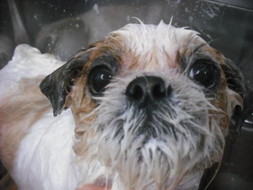 ファイル 2143-2.jpg