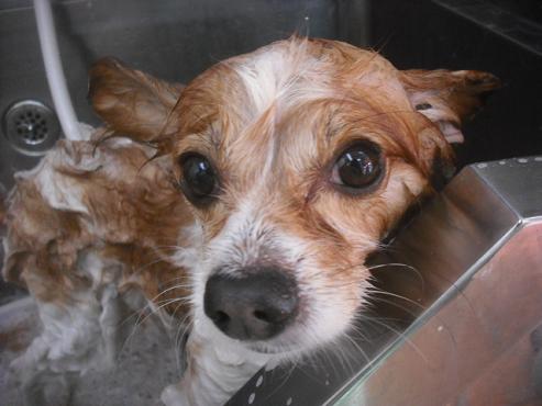 ファイル 2144-2.jpg