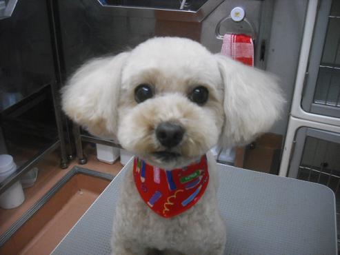 ファイル 2145-1.jpg