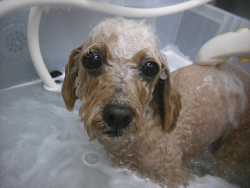 ファイル 2145-2.jpg