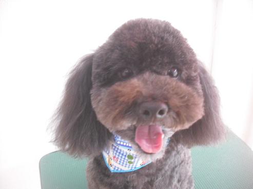 ファイル 2146-1.jpg