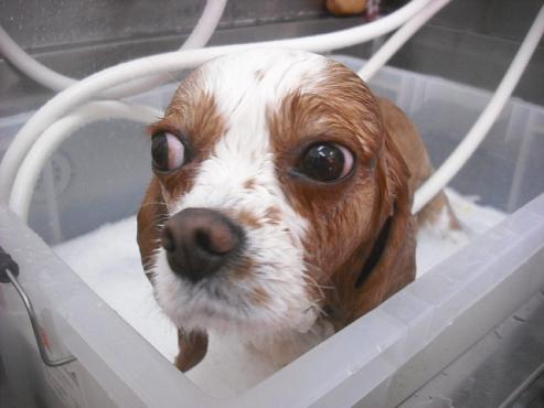 ファイル 2148-2.jpg