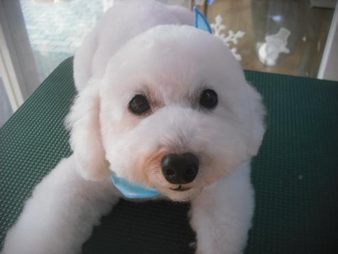 ファイル 2149-1.jpg