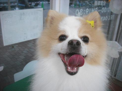 ファイル 2150-1.jpg