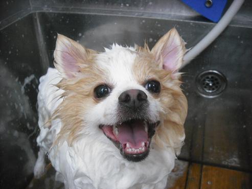 ファイル 2150-2.jpg