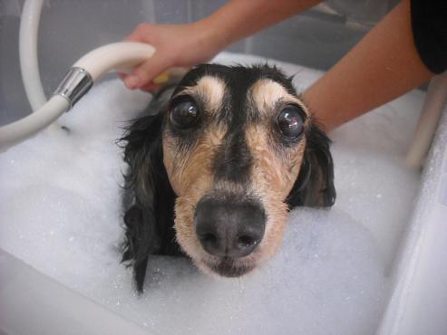 ファイル 2151-2.jpg