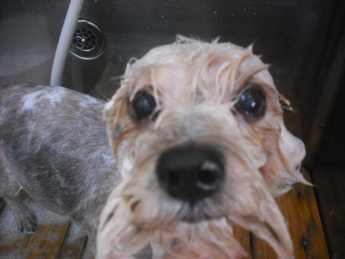 ファイル 2152-2.jpg