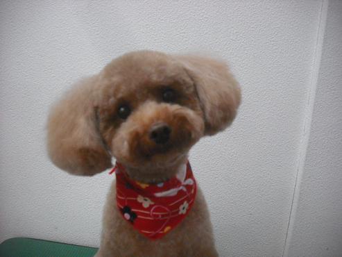 ファイル 2153-1.jpg