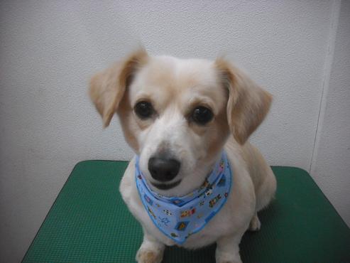 ファイル 2154-1.jpg