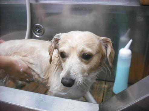 ファイル 2154-2.jpg