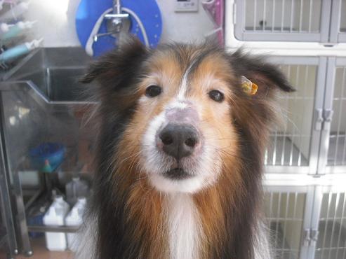 ファイル 2156-1.jpg