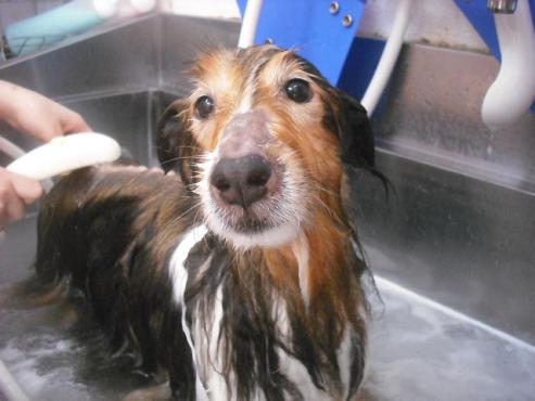 ファイル 2156-2.jpg