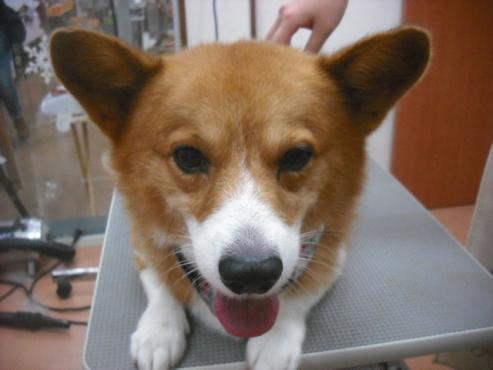 ファイル 2157-1.jpg