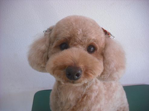 ファイル 2159-1.jpg