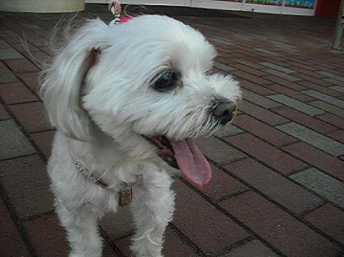 ファイル 216-1.jpg