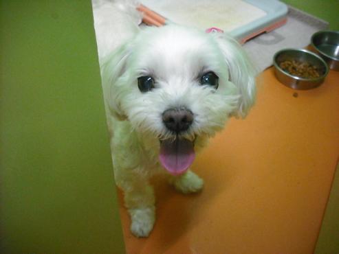 ファイル 216-2.jpg