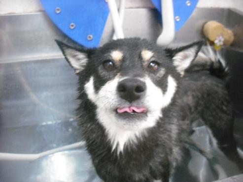 ファイル 2160-2.jpg