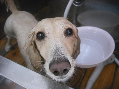 ファイル 2162-2.jpg