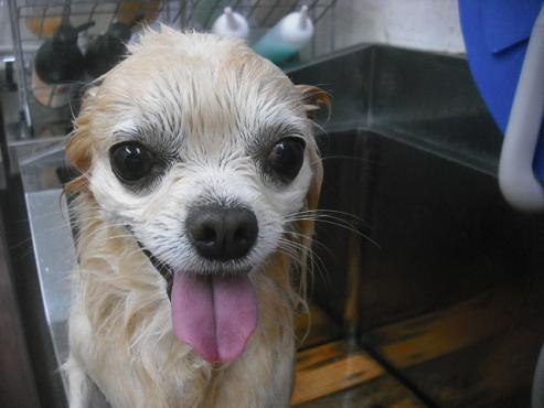 ファイル 2163-2.jpg