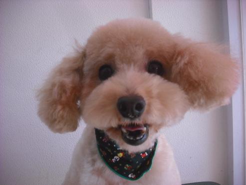 ファイル 2164-1.jpg