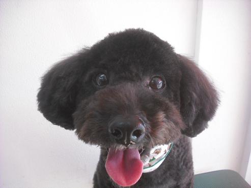 ファイル 2164-2.jpg