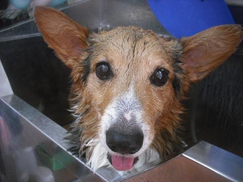 ファイル 2166-2.jpg