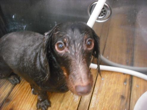 ファイル 2167-2.jpg