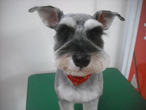 ファイル 2168-1.jpg