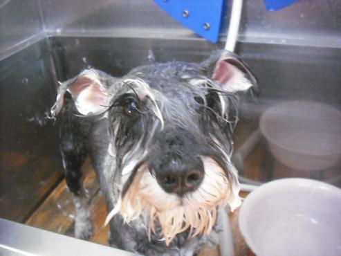 ファイル 2168-2.jpg