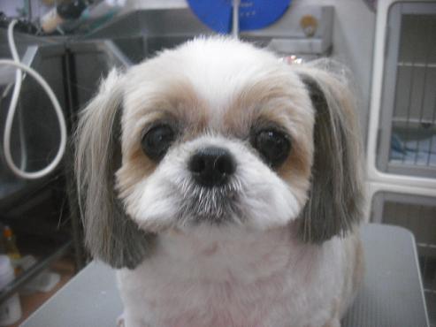 ファイル 2169-1.jpg