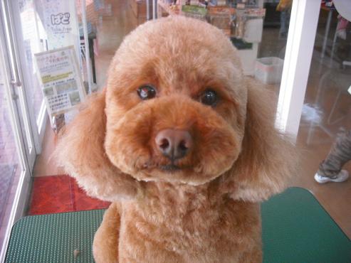 ファイル 217-1.jpg