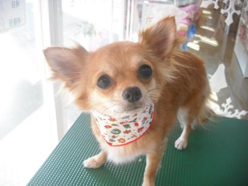 ファイル 2172-1.jpg