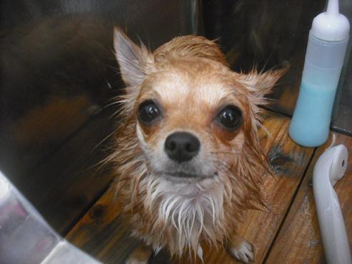 ファイル 2172-2.jpg