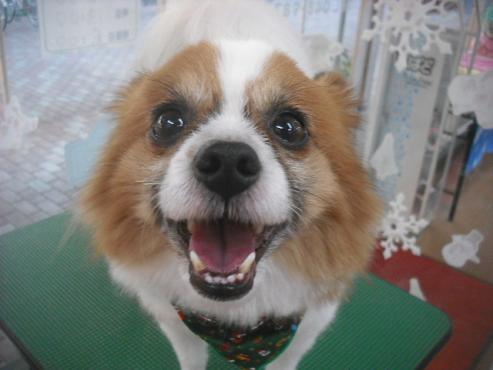 ファイル 2175-1.jpg