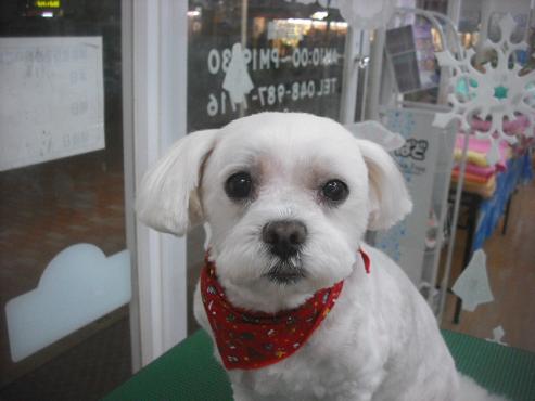 ファイル 2176-1.jpg