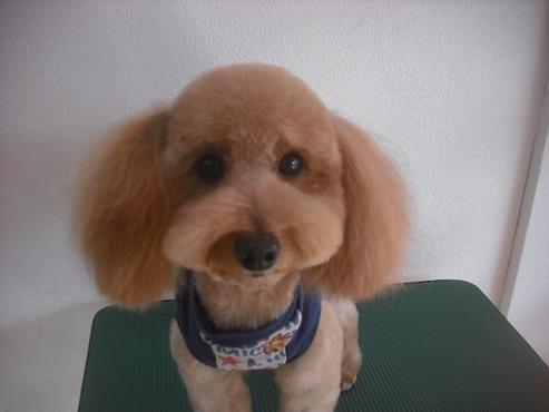 ファイル 2177-1.jpg