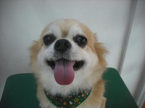 ファイル 2178-1.jpg