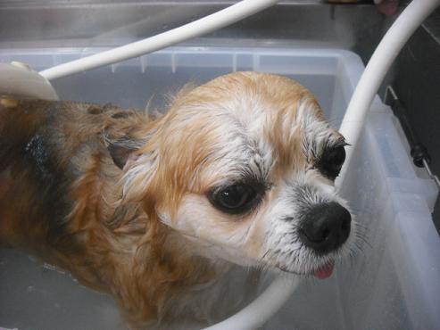 ファイル 2178-2.jpg