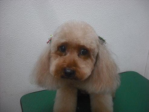 ファイル 2179-1.jpg