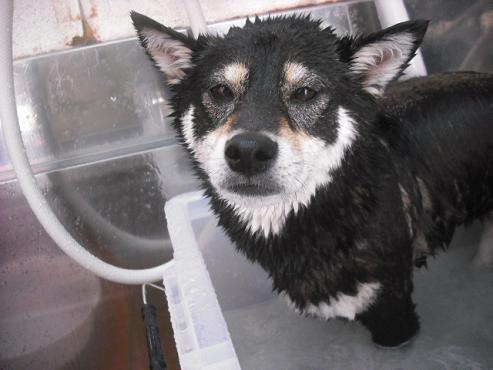 ファイル 218-2.jpg