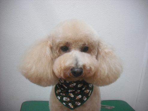 ファイル 2181-1.jpg